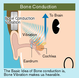 Bone conduction
